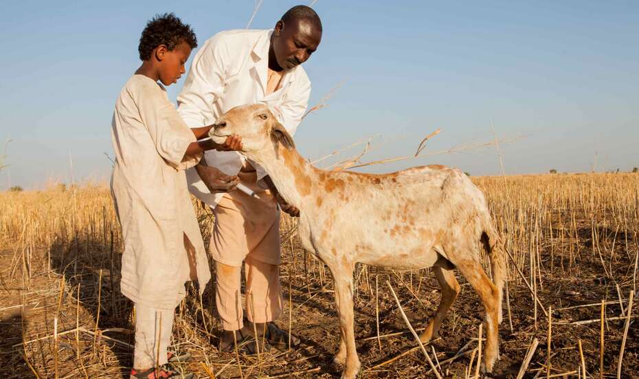 Vater und Sohn mit Ziege
