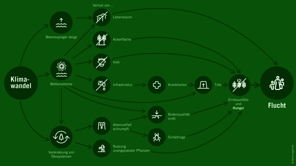 Infografik: Klimawandel befördert Fluchtbewegungen