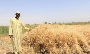 Ein Bauer in Niger steht auf seinem Feld und zeigt auf den gut gewachsenen Anbau
