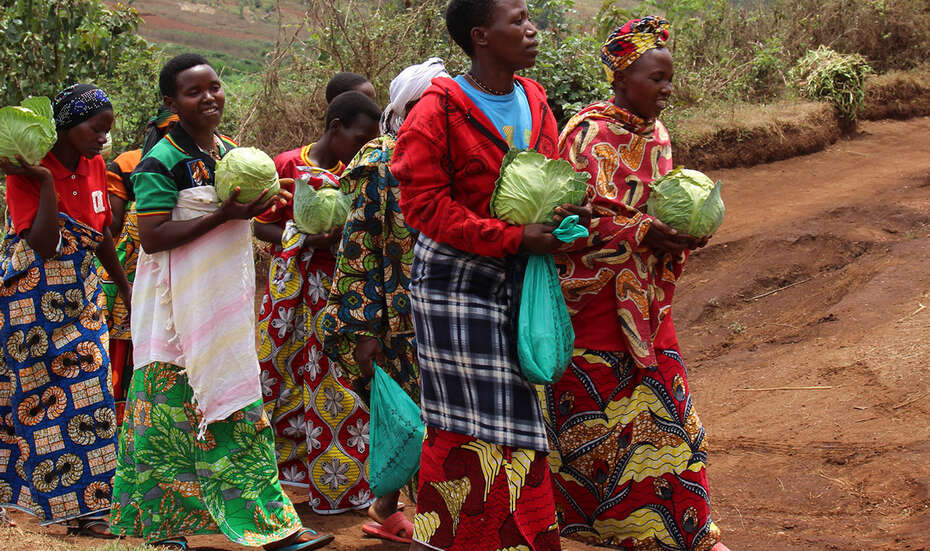 Auf dem Weg zu Zero Hunger