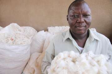 Frau mit Baumwolle in Burkina Faso