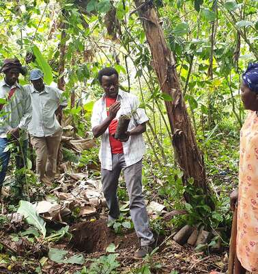 Klimaresilienz: Ein Mann erklärt Menschen im Wald eine klimaangepasste Nutzpflanze.
