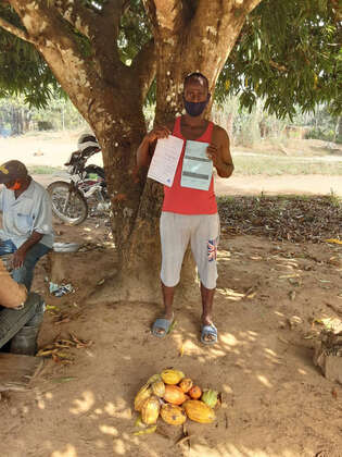 Saatgutvermehrung in Sierra Leone Ein Man steht vor geernteten Kakofrüchten und hält ein Zertifikat in der Hand.