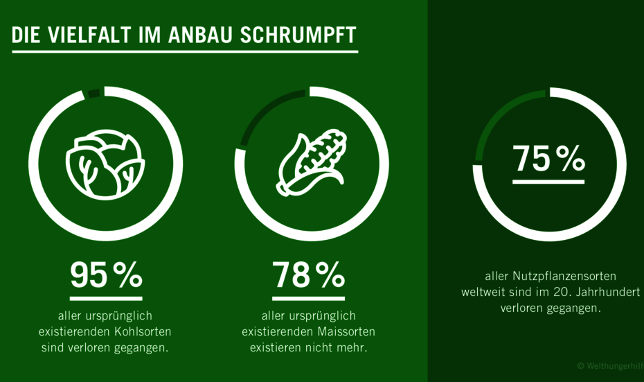 Kreisdiagramm: 75% aller Nutzpflanzensorten weltweit sind im 20. Jahrhundert verloren gegangen