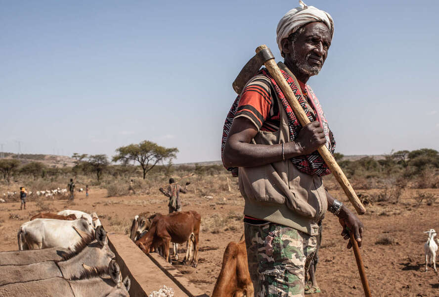 Ein Kleinbauer im Vordergrund, im Hintergrund sieht man eine Viehherde.
