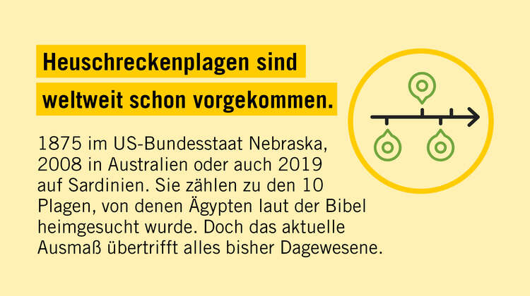 Fakten zur Heuschreckenplage: Heuschreckenplage sind weltweit schon vorgekommen.