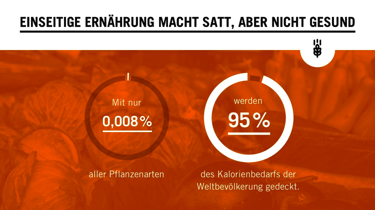 2019-einseitige-Ernaehrung-Biodiversitaet_C_Welthungerhilfe-16-9.png Orangefarbene Grafik zum Thema Biodiversität. Text: Einseitige Ernährung macht satt, aber nicht gesund. Mit nur 0,008% alles Pflanzenarten werden 95% des Kalorienbedarfs der Weltbevölkerung gedeckt.