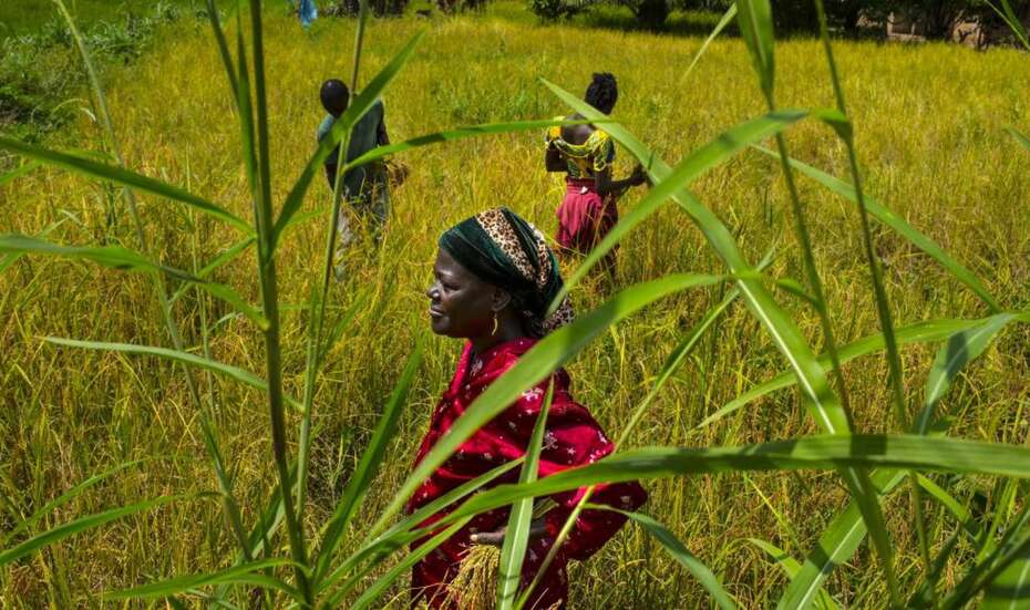 Frauen stehen auf einem Feld.