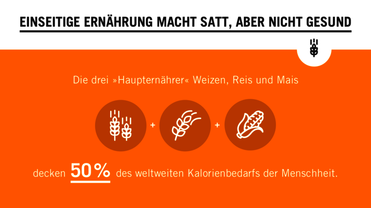 2019-Vielfalt-im-Konsum-Biodiversitaet_C_Welthungerhilfe-16-9.png Orangefarbene Grafik zum Thema Biodiversität. Text: Einseitige Ernährung macht satt, aber nicht gesund. Die drei "Haupternährer" Weizen, Reis und Mais decken 50% des weltweiten Kalorienbedarfs der Menschheit.