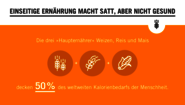2019-Vielfalt-im-Konsum-Biodiversitaet_C_Welthungerhilfe-16-9.png Orangefarbene Grafik zum Thema Biodiversität. Text: Einseitige Ernährung macht satt, aber nicht gesund. Die drei "Haupternährer" Weizen, Reis und Mais decken 50% des weltweiten Kalorienbedarfs der Menschheit.