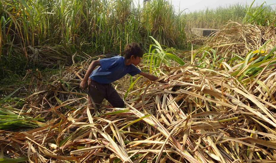 Ein Junge auf einem Feld.