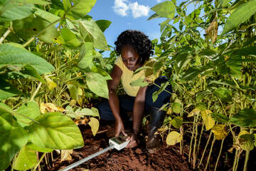 Carbon Framing in Ostafrika Carbon Farming mit Kleinbauern in Ostafrika