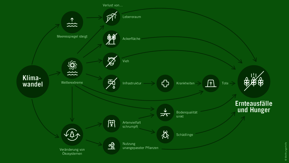 Zusammhang von Klimakrise und Hunger, Grafik, 2021.