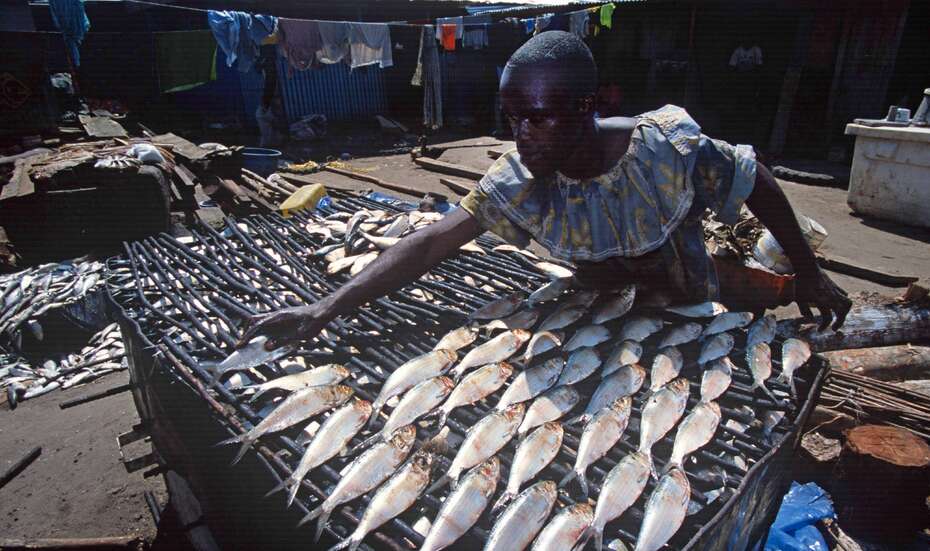 Westafrika_Fisch_Raeuchern.jpg