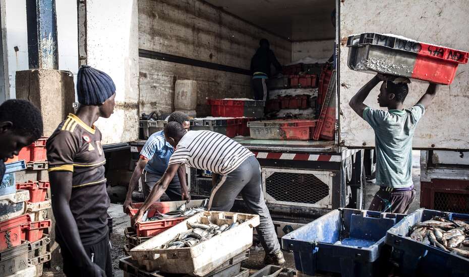Senegal_Fischfang.jpg