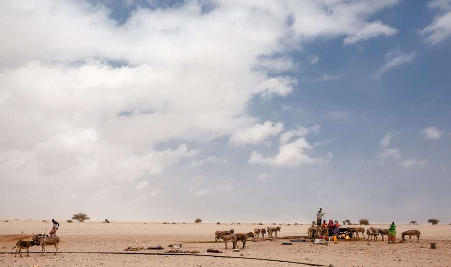 Eine karge, trockene Landschaft.