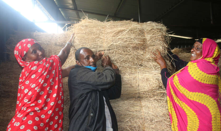Projektteilnehmer im Heulager