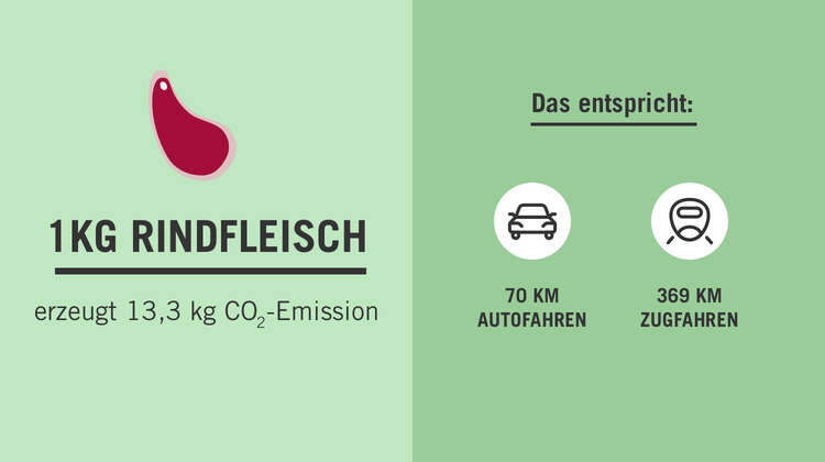 2019-rindfleisch-co2-vergleich-lebensmittelverschwendung-klimawandel.jpg Grafik: Links ein Steack als Icon, darunter der Text: 1 kg Rindfleisch erzeugt 13,3 kg CO2-Emission. Recht, auf dunklerem Hintergrund: Das entspricht: 70 km Autofahren, 369 km Zugfahren.