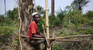Mann sitzt auf einem Baum
