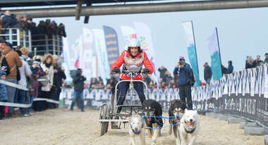 Gerit Kling bei Baltic Lights 2018 auf Usedom.