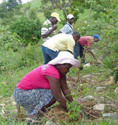 Bäuerinnen und Bauern bauen einen kleinen Steinwall zum Schutz gegen Erosion auf Haiti.