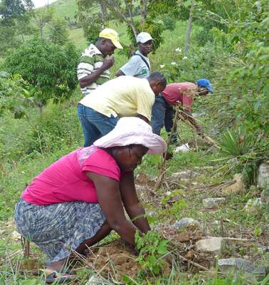 Bäuerinnen und Bauern bauen einen kleinen Steinwall zum Schutz gegen Erosion auf Haiti.