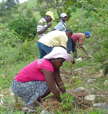 Bäuerinnen und Bauern bauen einen kleinen Steinwall zum Schutz gegen Erosion auf Haiti.
