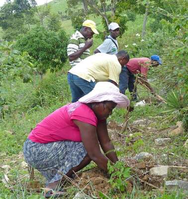 Bäuerinnen und Bauern bauen einen kleinen Steinwall zum Schutz gegen Erosion auf Haiti.