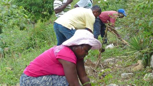 Bäuerinnen und Bauern bauen einen kleinen Steinwall zum Schutz gegen Erosion auf Haiti.