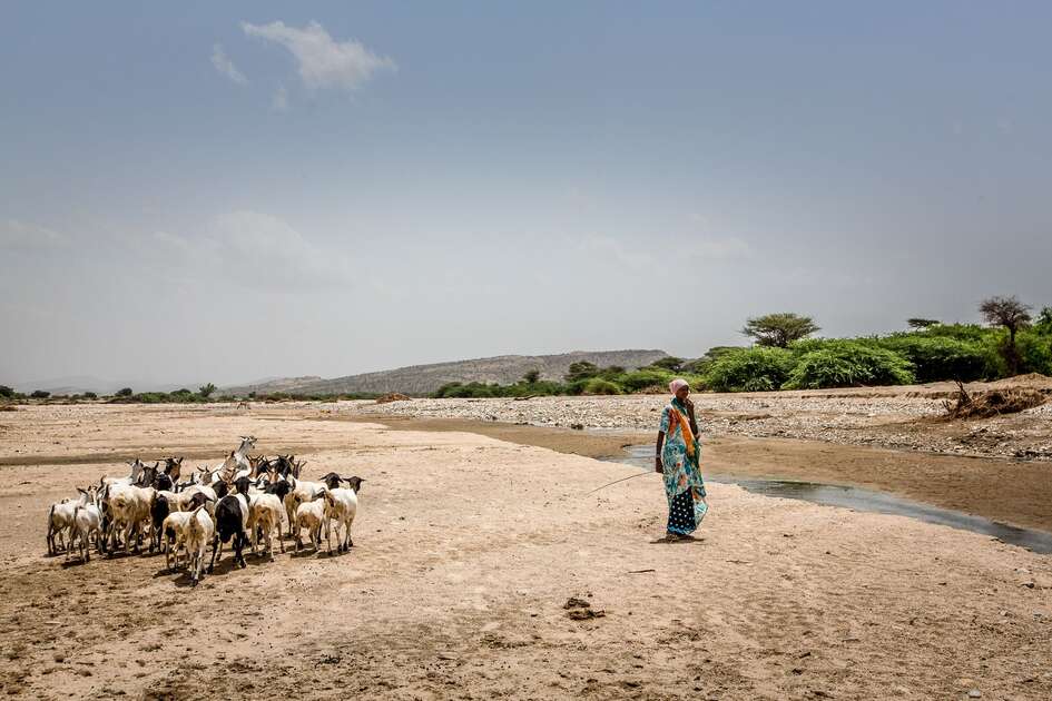 Eine Frau mit Ziegen an einem ausgetrockneten Wasserlauf, Somalia 2018