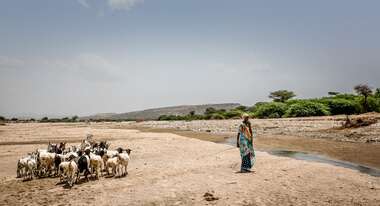 Eine Frau mit Ziegen an einem ausgetrockneten Wasserlauf, Somalia 2018