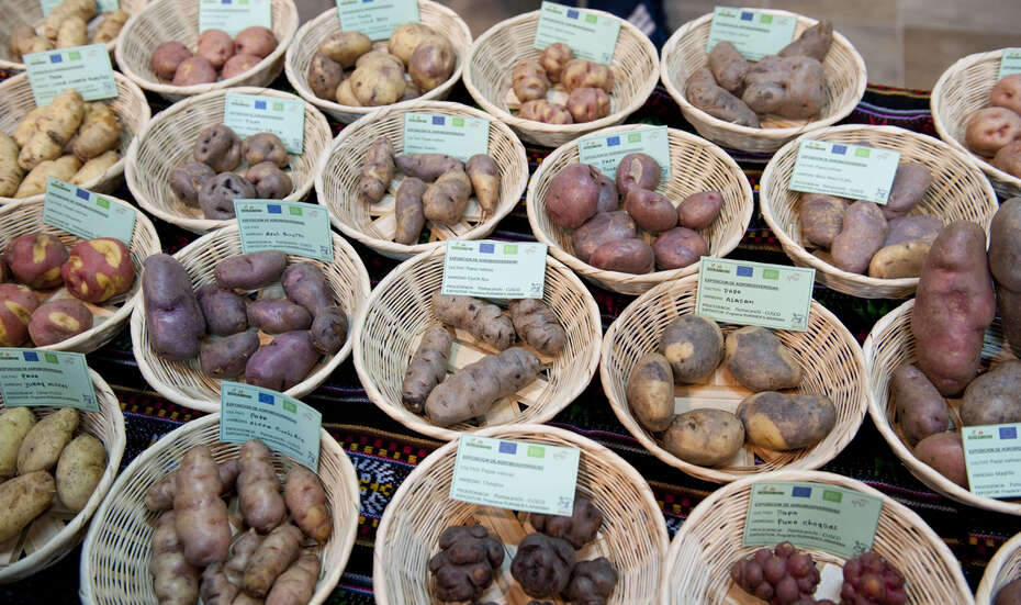 Verschiedene Kartoffelsorten in Körben, Peru. 