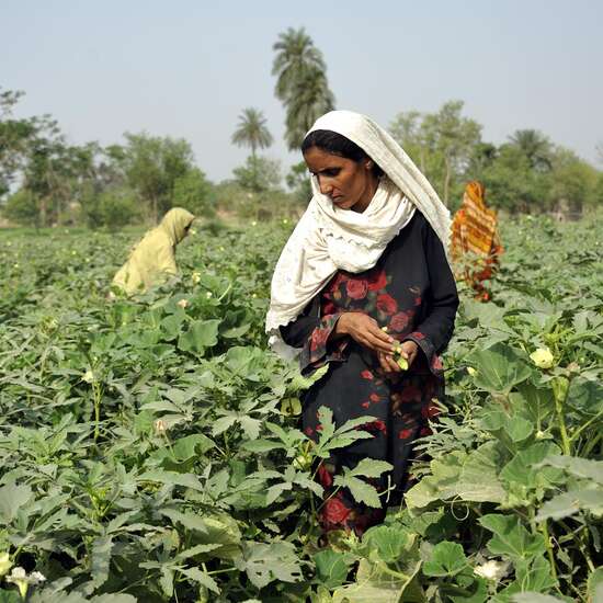 Durch Vielfalt unabhängig werden