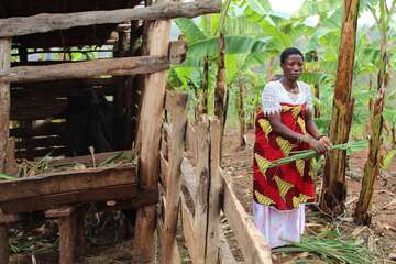 Hoffnung in Burundi: Melchurie Mukeshimana ist Teil einer Frauengenossenschaft, die durch die Welthungerhilfe ins Leben gerufen wurde. Die Beteiligten unterstützen sich gegenseitig bei der Viehzucht. Melchurie Mukeshimana bei der Arbeit