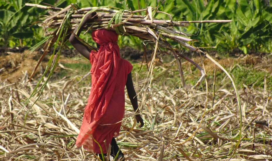 Kinderarbeit_Global_march_Indien_Maedchen.jpg Kinderarbeit_Global_march_Indien_Maedchen