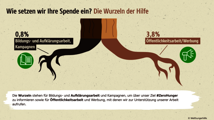 Grafik: Wie setzen wir Ihre Spende ein? Die Wurzeln der Hilfe.