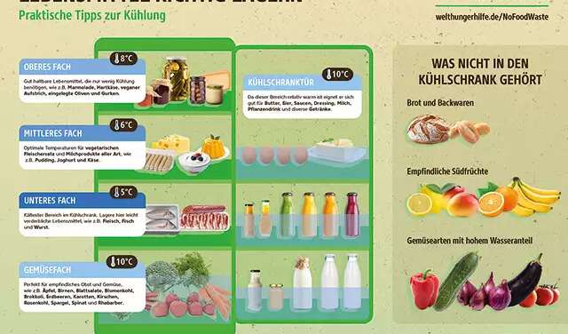 2016-aktionsmaterial-infografik-kuehlschrank-lebensmittel-es-reicht-fuer-alle.jpg