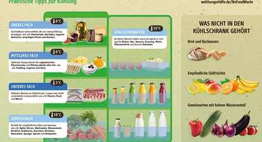 2016-aktionsmaterial-infografik-kuehlschrank-lebensmittel-es-reicht-fuer-alle.jpg