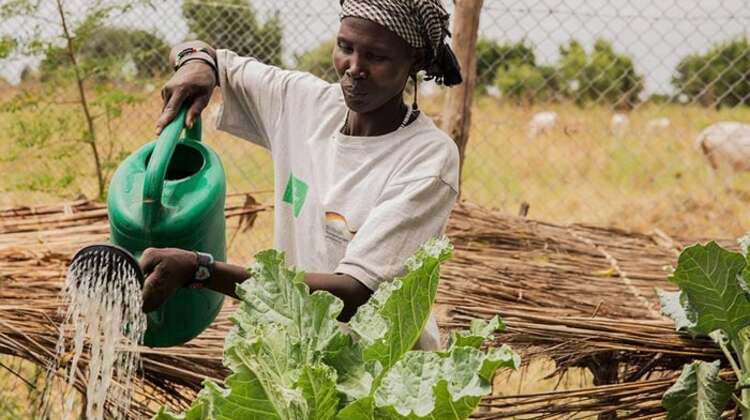 2017-suedsudan-frau-giesskanne-garten-ganyiel-C_Glinski_k.jpg Eine Frau kümmert sich im Rahmen eines Ernaehrungssicherungs-Projekt in Ganyiel (Süd Sudan) um einen Garten.