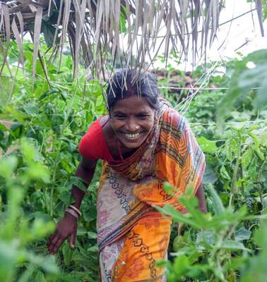 Frau klettert durch Dschungel auf dem Land
