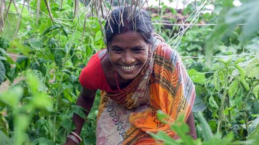Frau klettert durch Dschungel auf dem Land