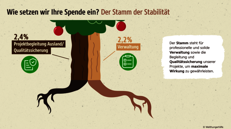 Grafik: Wie setzen wir Ihre Spende ein? Der Stamm der Stabilität.