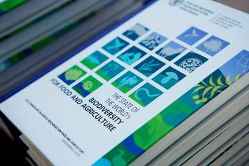 Foto vom Bericht Agrobiodiversitaet, FAO.