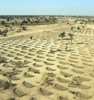 Kampf gegen Desertifikation: Luftbild einer Ebene mit halbmondförmigen Gruben zur Neubepflanzung, Mopti, Mali, 2024