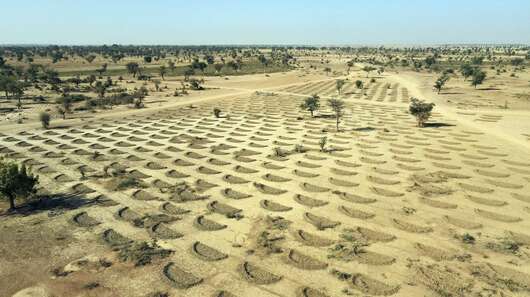 Kampf gegen Desertifikation: Luftbild einer Ebene mit halbmondförmigen Gruben zur Neubepflanzung, Mopti, Mali, 2024