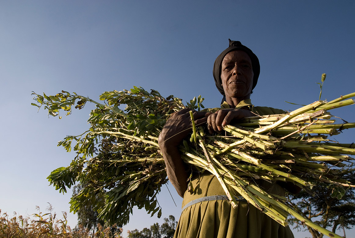 Kleinbäuerin in Äthiopien mit Ernte