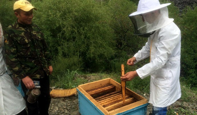 Imker am Bienenstock