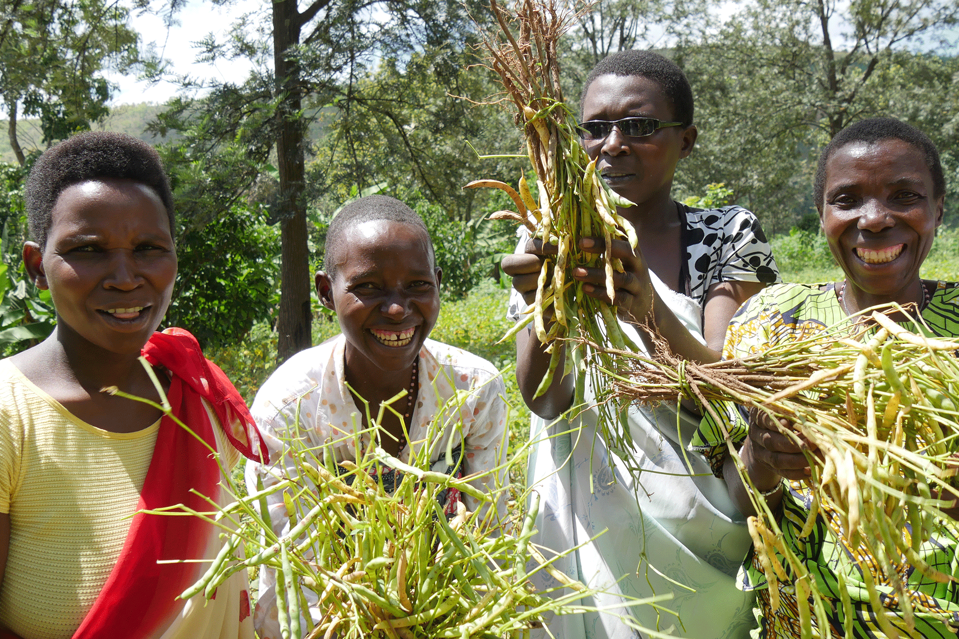 Vier lachende Frauen