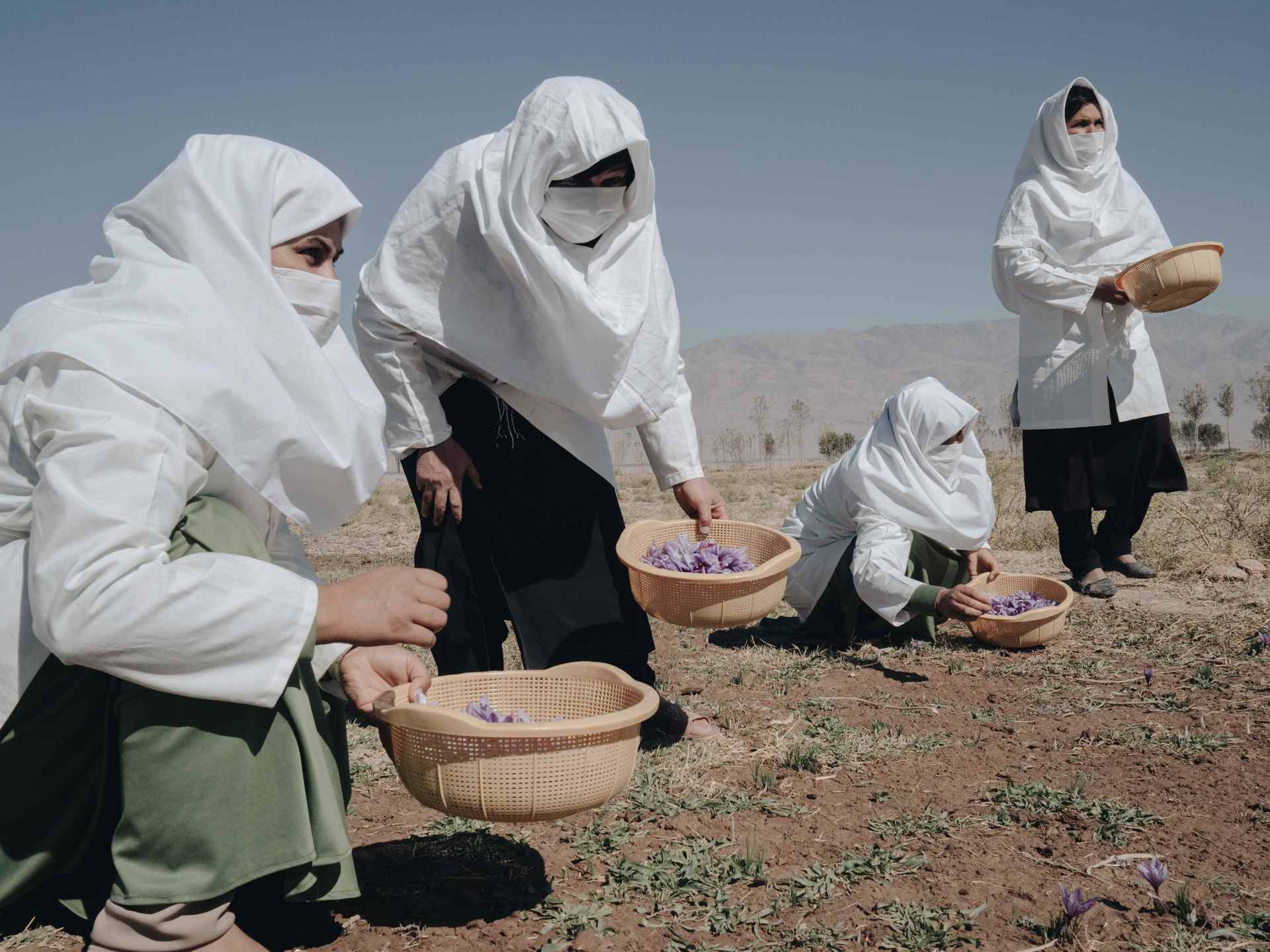 Mehrere Frauen stehen auf einem Feld.