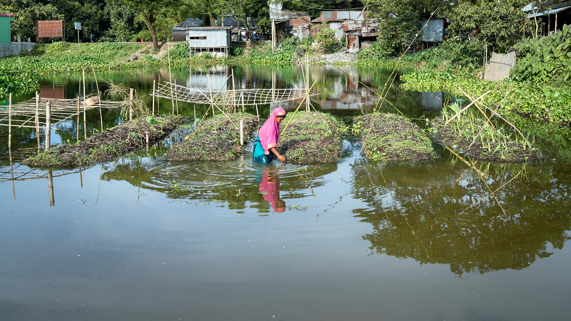 Frau im Wasser arbeitet an ihrem schwimmenden Garten.